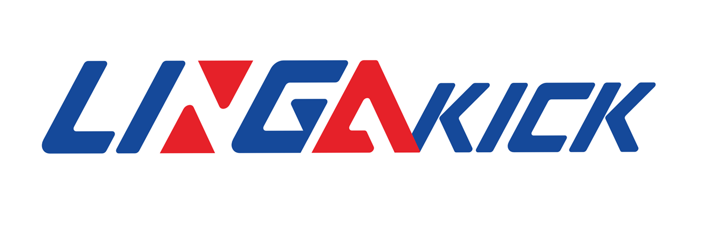 lingakicks.shop